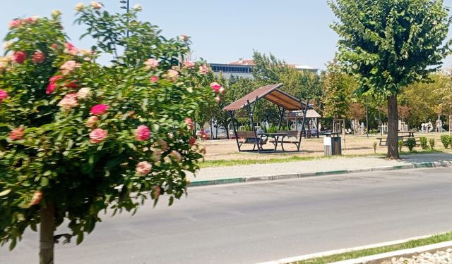 Millet Bahçesi Çevresindeki Peyzaj Çalışmaları Beğeni Topluyor
