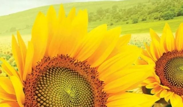 Ön Alım Fiyatı Açıklandı