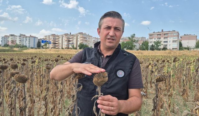 Kendilerine kepçeyle, çiftçiye çay kaşığıyla: Trakya Birlik'e tepki büyüyor