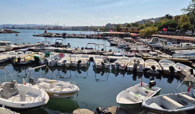 Limanda tatlı telaşe: Balıkçılar Lüfer ve palamuttan umutlu