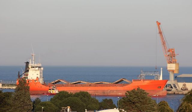 Türkiye'de 50 ilin ihracatı ocak-temmuz döneminde arttı