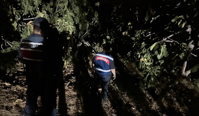Jandarma, incir hırsızlarına geçit vermiyor