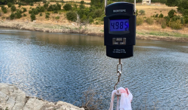 Kırklareli’nde Göletlerde Balık Keyfi Sürüyor
