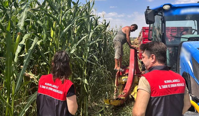 Pehlivanköy’de Silajlık Mısırda Hasat Kontrolü Yapıldı