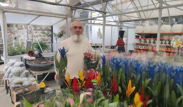Her şey bir kaktüs ile başladı