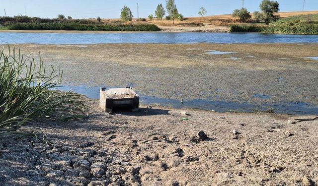Tekirdağ'da gölette sular çekildi, çatlaklar oluşmaya başladı