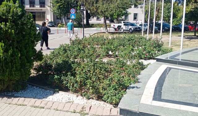 Kırklareli Belediyesi’nden Şehre Estetik Katkı: Peyzaj Çalışmaları Dikkat Çekiyor