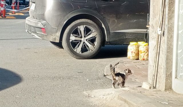 Kırklareli Sokaklarında Bir Yalnızlık Karesi