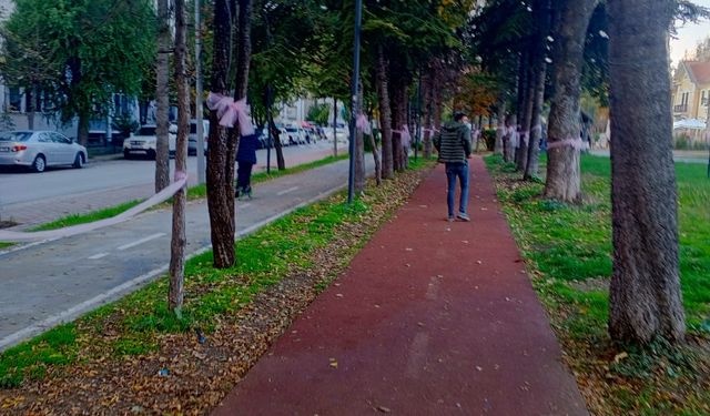 Millet Bahçesi’ndeki Ağaçlara Pembe Uyarı Panoları