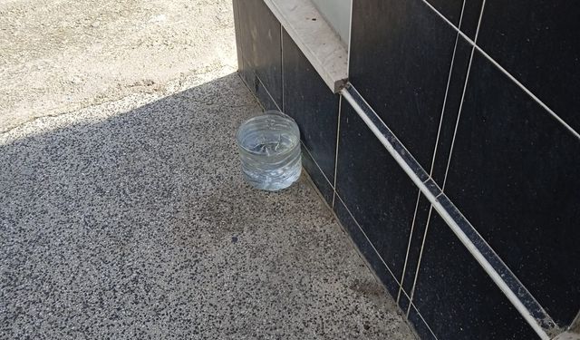 Kırklareli’nde Sokak Hayvanları İçin Duyarlı Davranış
