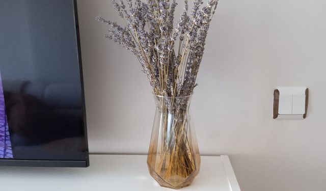 Kırklareli’nde Ev Dekorasyonunda Lavanta Şıklığı