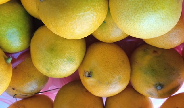 Soğuk Havalarla Birlikte Mandalinaya Yoğun İlgi