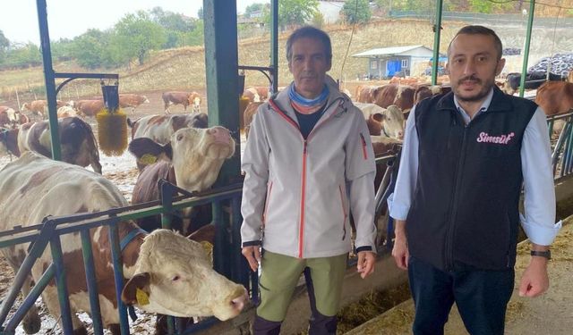 Yapay zeka süt hayvancılığında çığır açtı