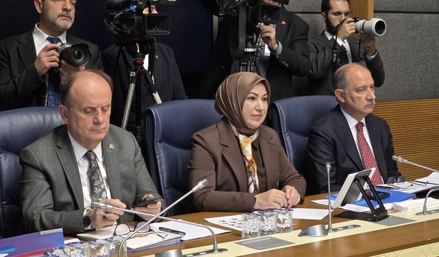 Milli Parklar’a ilişkin kanun teklifi Komisyon'da