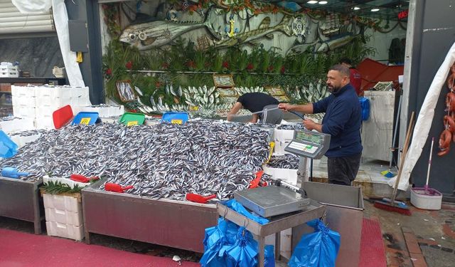 Havalar soğudu, hamsi 100 liraya düştü