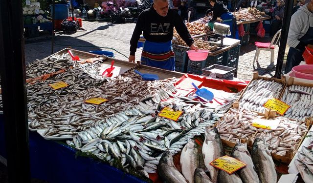 Kırklareli Cumartesi Pazarında Balık Tezgahları Bu Hafta Durgundu
