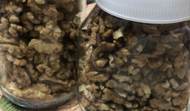 Kırılan Cevizler Kavanozlarda Saklanıyor