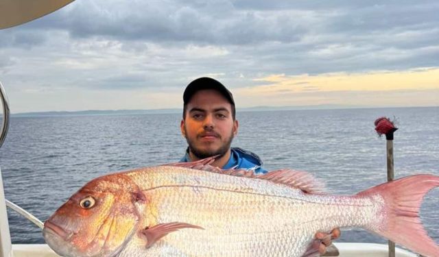 Çanakkale'de balıkçılar 12 kilogramlık mercan balığı yakaladı