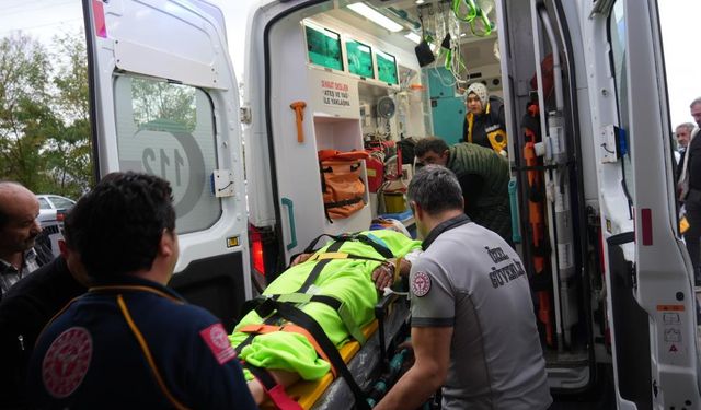 Mantar toplarken ayının saldırısına uğrayan imam yaralandı