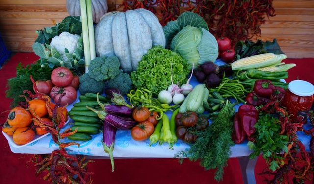 Edirneli üreticiler ata tohumundan ürettikleri ürünleri Millet Bahçesi'nde satışa sunuyor
