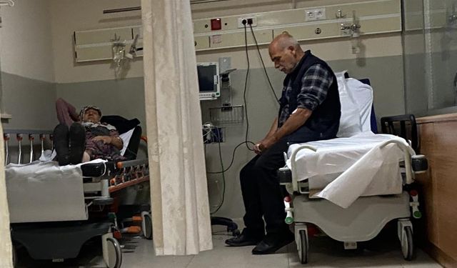 Ormandaki mantarları yiyen 7 kişi hastanelik oldu