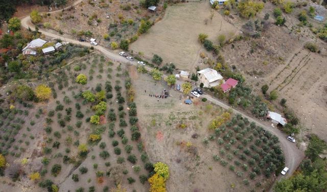 Dünyanın en pahalı baharatı safran Adana'da hasat edildi