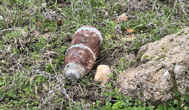 Mantar toplarken top mermisi buldular