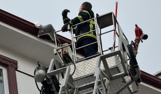 Çatıda sıkışan martıyı itfaiye kurtardı