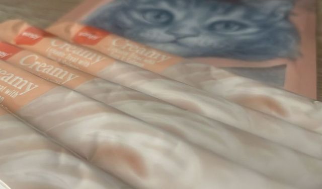 Evcil Hayvanlar Özel Bakım