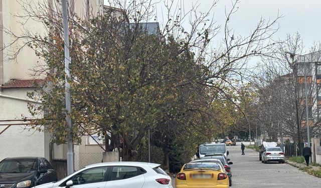 Kışın İlk Günleri Sokaklara Sessizlik Getirdi