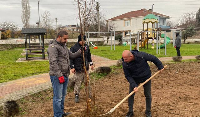 Kavaklı’da Yeşil Alanlara Yeni Nefes