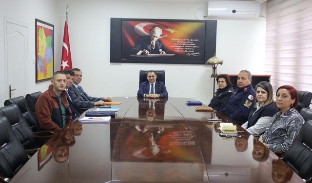 Sahipsiz Sokak Hayvanları Masaya Yatırıldı