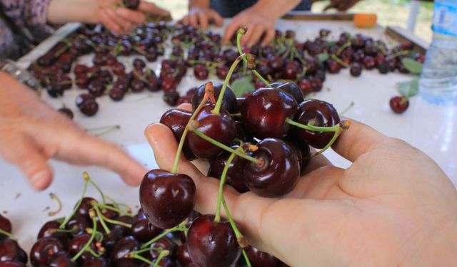 15 Aralık'ta okullarda "Coğrafi İşaret Günü" kutlanacak