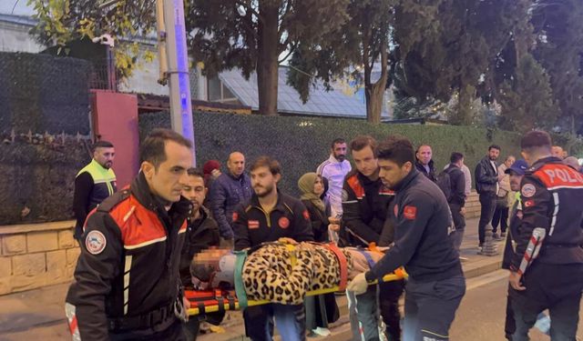 Çorlu'da trafik kazası: 1 yaralı