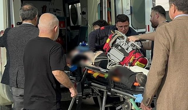 Pencereden düşen avukat kaldırıldığı hastanede kurtarılamadı