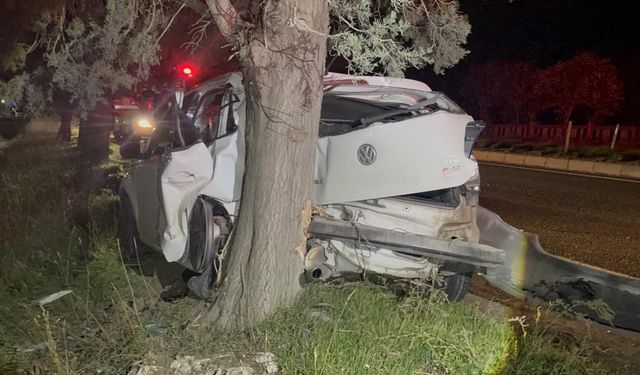 Tekirdağ'da ağaca çarpan otomobilin sürücüsü yaralandı