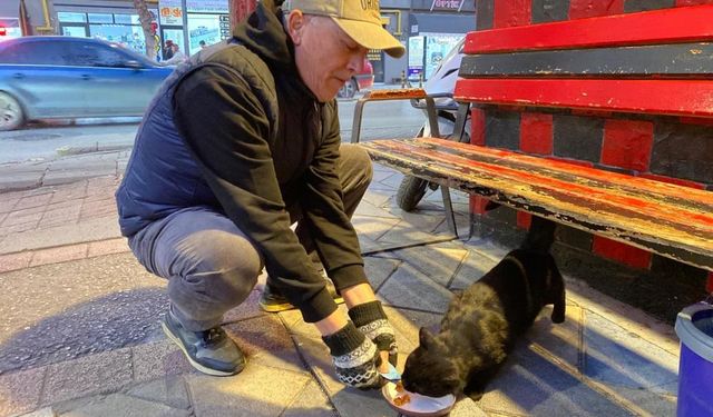 Bu taksi durağı esnafın hayvan sevgisi ile öne çıkıyor