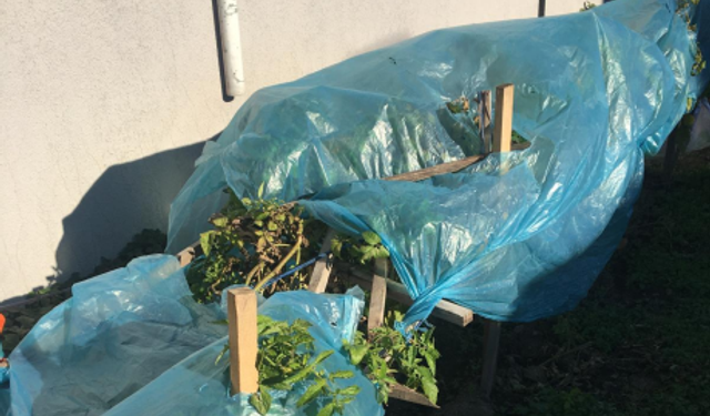 Kırklareli’nde Bahçelerde Don Önlemi