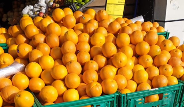 Portakal Kışla Birlikte Tezgâhlarda