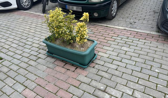 Kaldırım ve Dükkan Önlerine Estetik Dokunuş