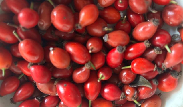 Soğuk Havalara Karşı Kuşburnu Çayı Tercih Ediliyor