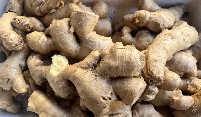 Sağlık İçin Zencefil Kullanılıyor