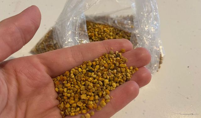 Sağlığa Takviye: Propolis