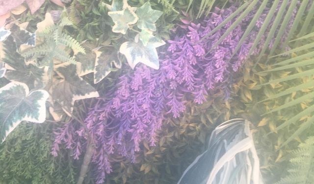 Yapay Yeşil Duvarlar Dekorasyonda İlgi Görüyor