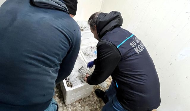 Kıyıköy ve İğneada’da Su Ürünleri Denetimi