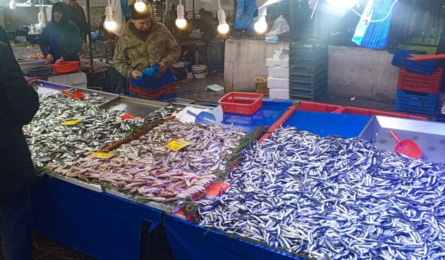 Cumartesi Pazarında Balık Fiyatları Güncellendi