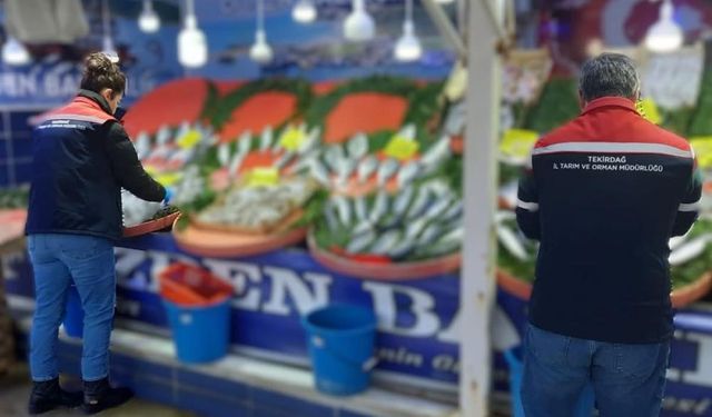 Tekirdağ'da su ürünlerine sıkı denetim