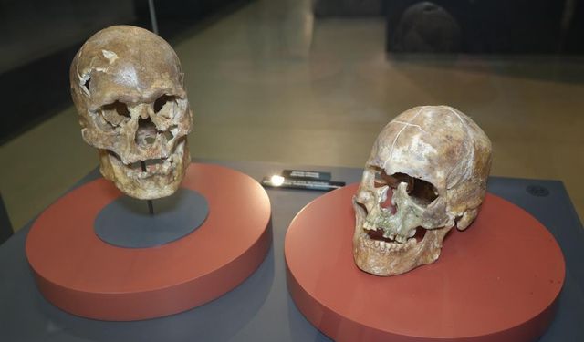 5 bin yıllık kafatası ve Amisos Hazineleri ilgi odağı oldu