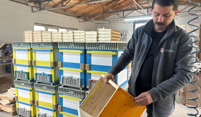 Futbolda rekabet arıcılara yansıdı; renkli kovanlar revaçta