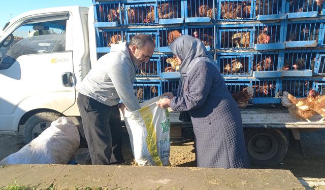 Köy köy gezerek canlı tavuk satıyor